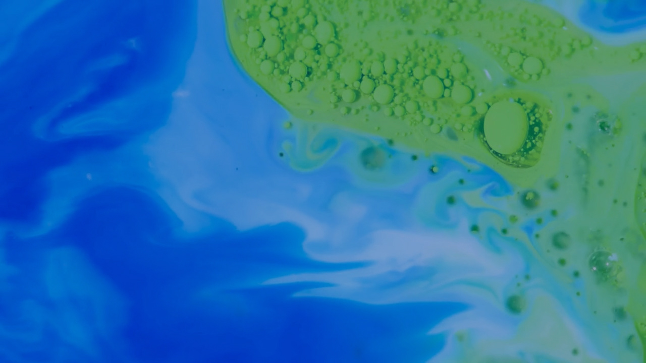 visagismo home overlay 1